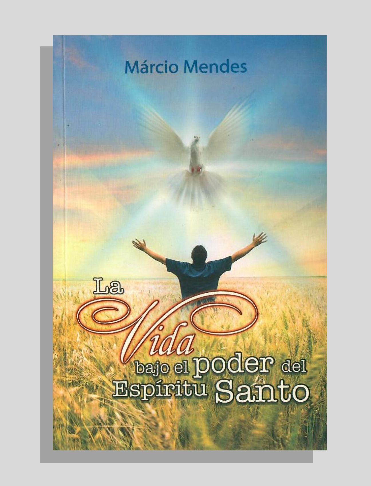 LA VIDA BAJO EL PODER DEL ESPÍRITU SANTO