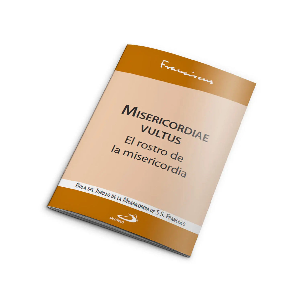 Misericordiae vultus: el rostro de la misericordia
