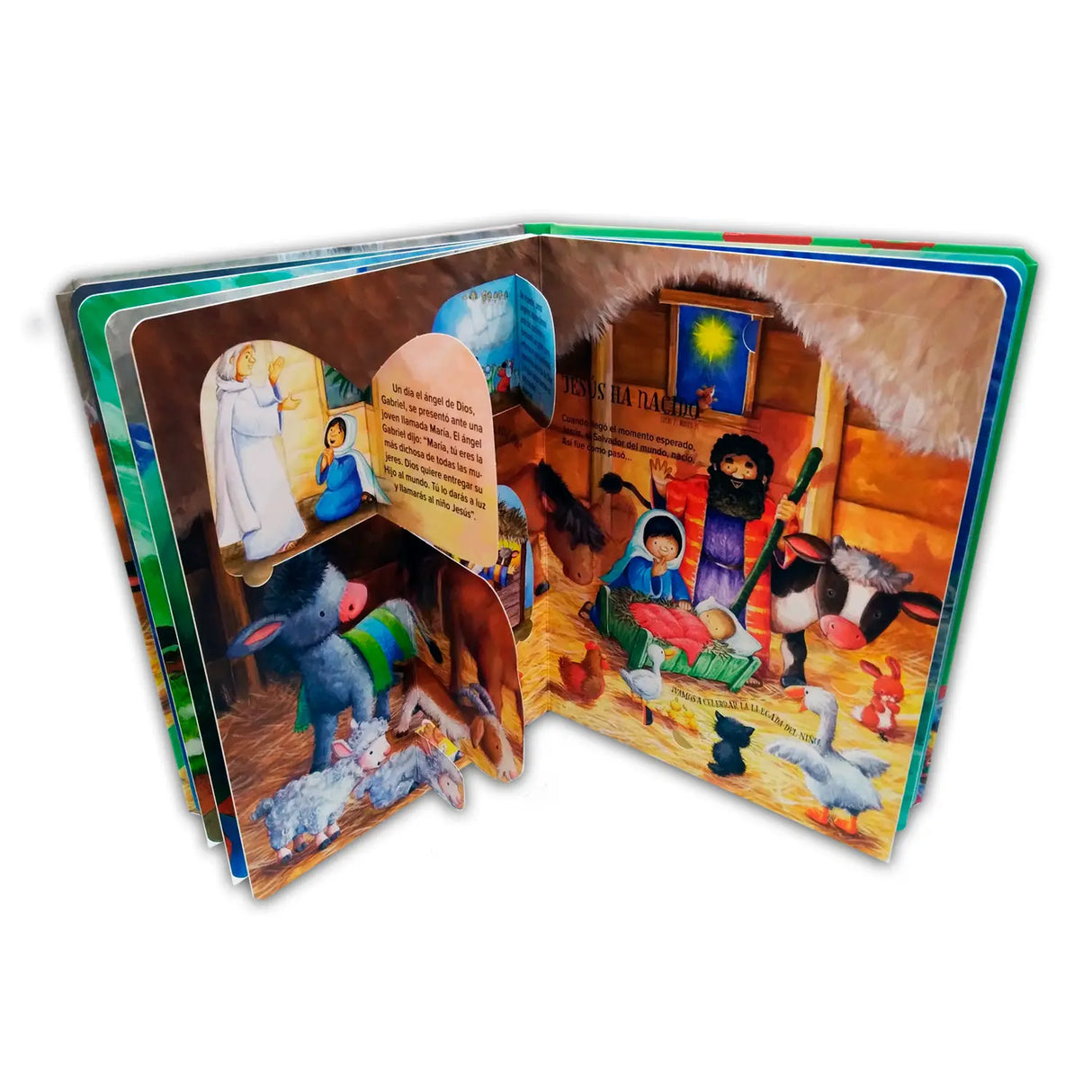 Mi biblia favorita – con ventanas
