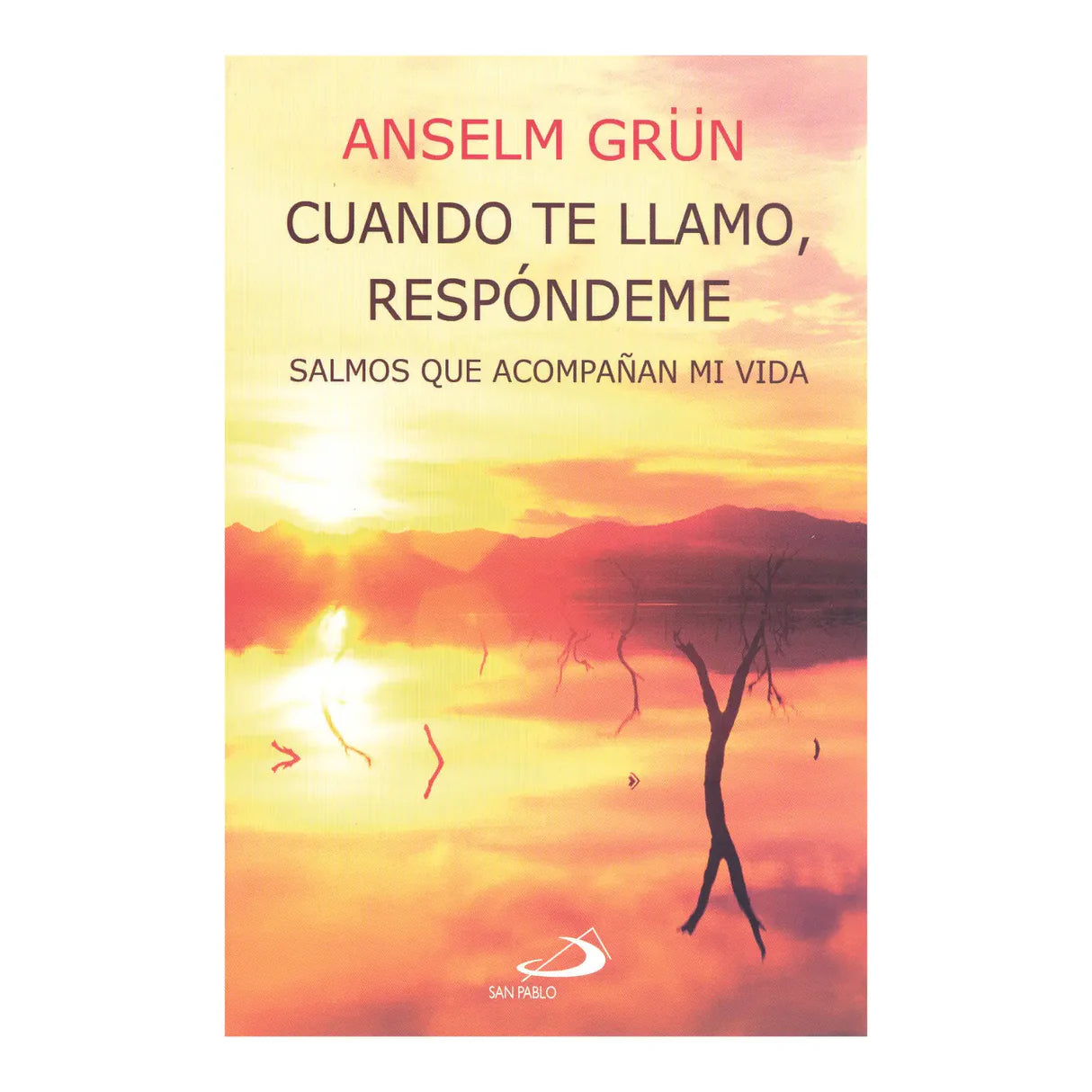 cuando te llamo, respóndeme salmos que acompañan mi vida
