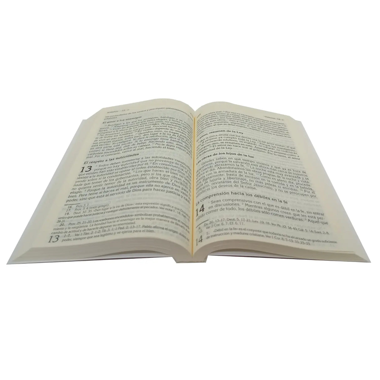 El libro de la nueva alianza